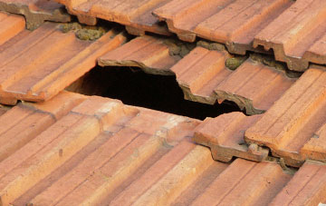 roof repair Hawksdale, Cumbria