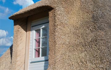 Hawksdale thatch roof disadvantages